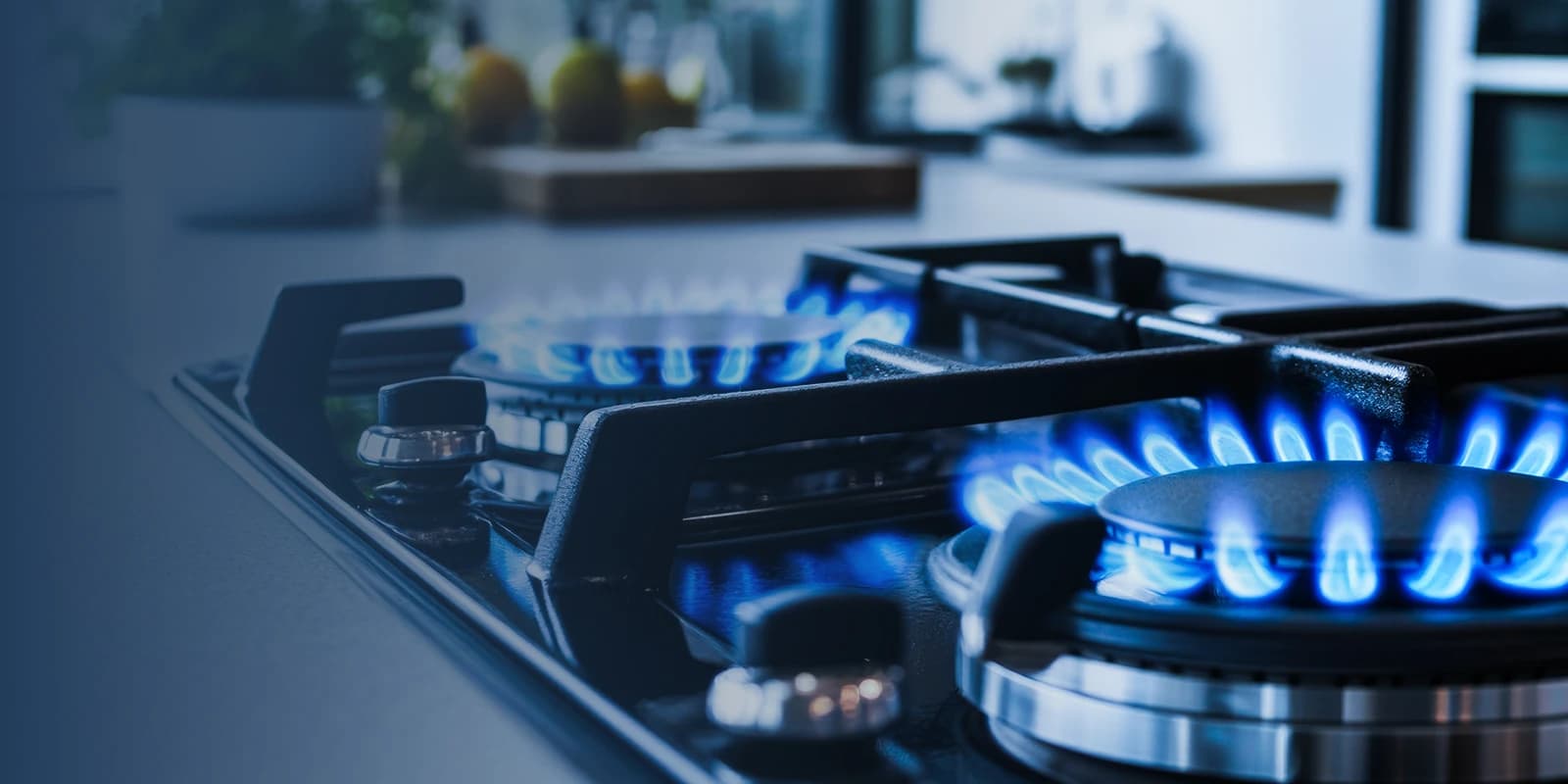 Gas Stoves