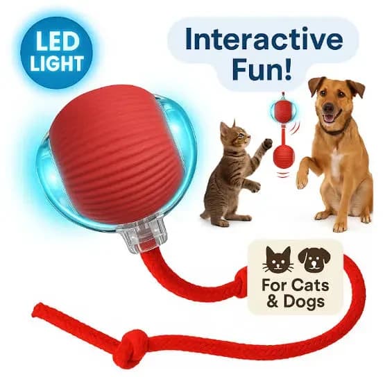 Automatic Rolling Ball Smart Cat Dog Toy