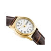 Picture of Casio Enticer Day Date Golden Ladies Belt Watch LTP-V006GL-9BUDF