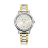 Picture of Titan Silver Dial Metal Strap Analog Watch for Women (2638BM01)