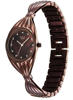 Picture of Titan Raga Memoirs Quartz Analog  Brown Metal Strap Watch for Women (95254QM01F)