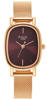 Picture of Titan Raga Viva Brown Dial Analog Stainless Steel Strap Women’s Watch (NT2665WM01)