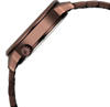 Picture of Fastrack Exuberant Quartz Brown Dial Watch for Men (3301QM01)